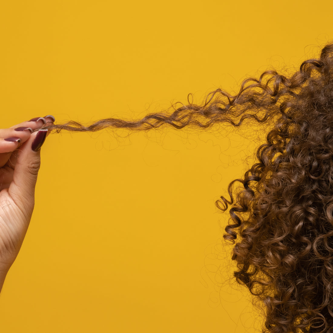 Healthy Hair For the New Year