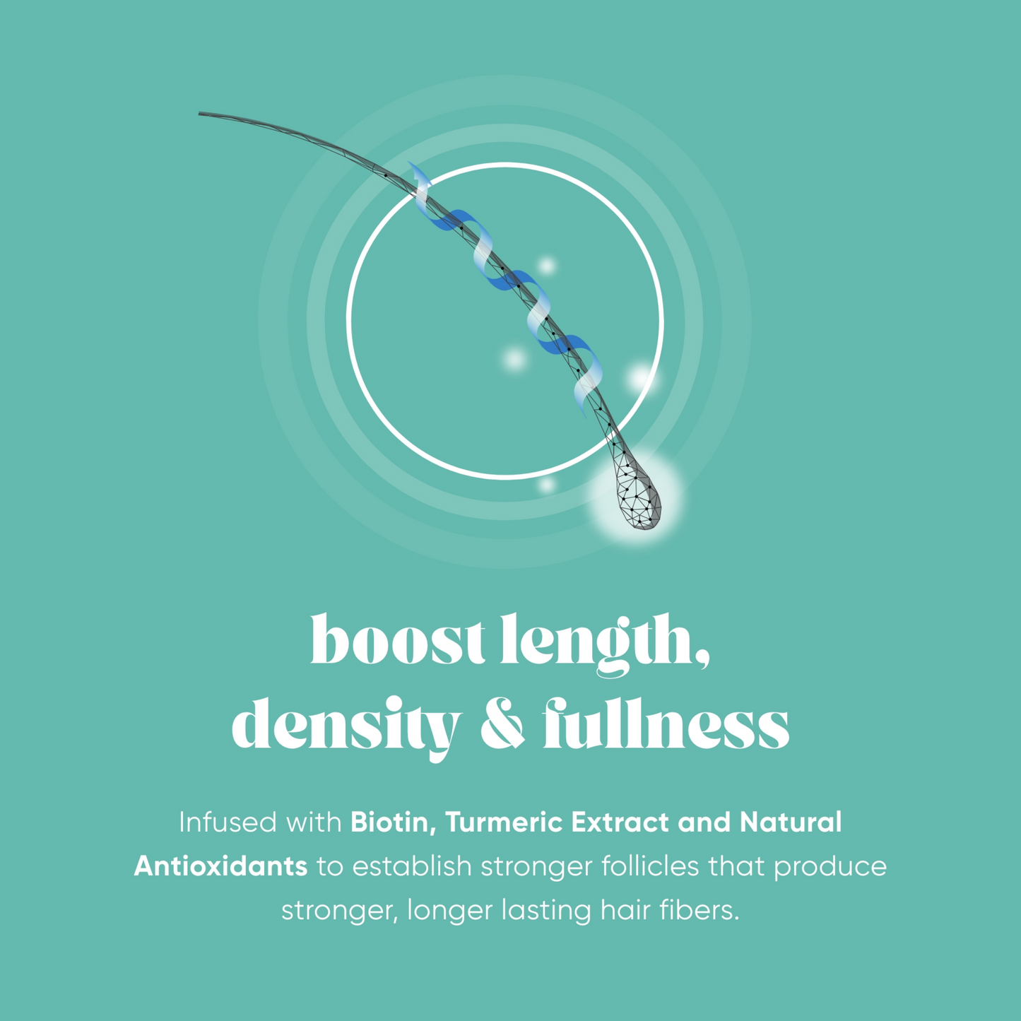 Boost Fullness Gift Set