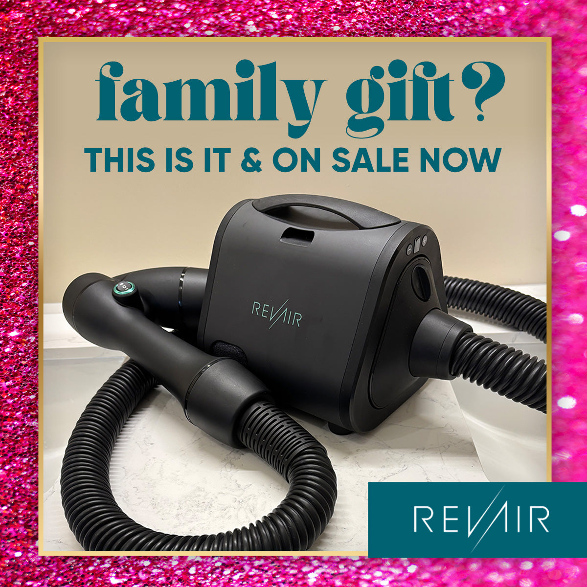 Family gift? This is it and on sale now! RevAir Dryer