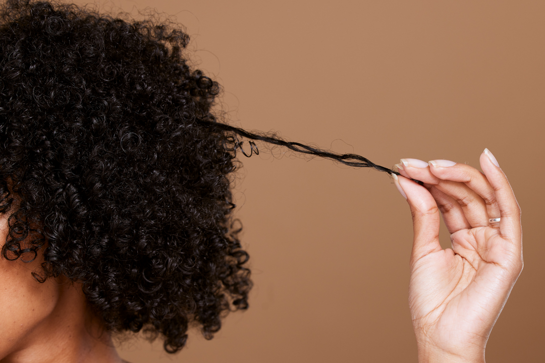 The Ultimate Guide to Hydration for Curly Hair
