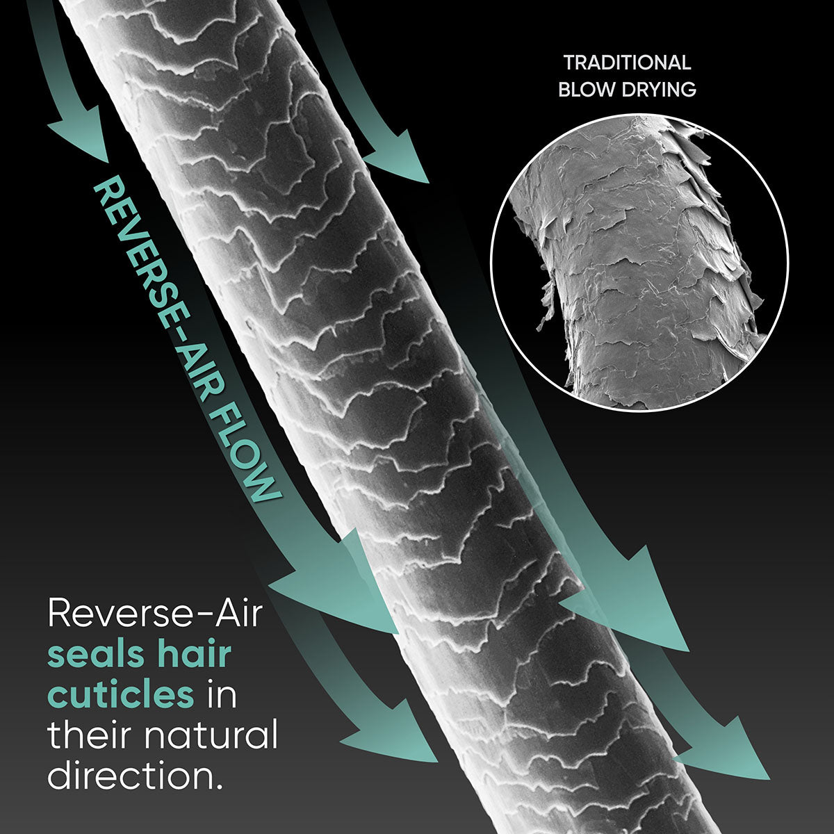 Illustration showing hair strand and cuticle with directional arrows depicting the air flow of the RevAir. Reverse-Air seals hair cuticles in their natural direction vs traditional blow drying.